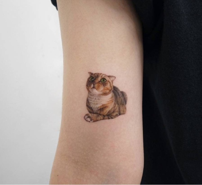 hinh xam 12 con giap mini