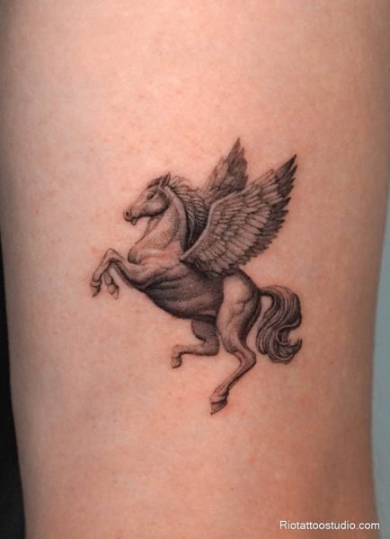 Hình xăm ngựa có cánh còn chinh phục trái tim của nhiều cô gái hiện đại những người vừa dịu dàng, vừa mạnh mẽ. Với đường nét uyển chuyển, đôi cánh mềm mại đậm chất thơ, các mẫu xăm cho nữ thường kết hợp cùng họa tiết hoa, ánh sáng hay ngôi sao, tạo nên tổng thể vừa bí ẩn vừa quyến rũ.