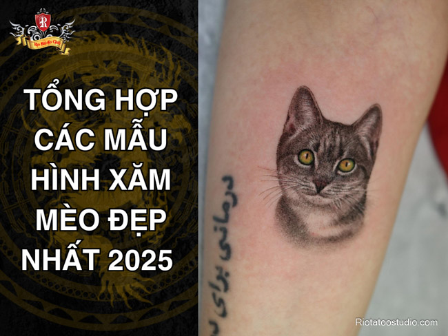 Tổng hợp các mẫu hình xăm mèo đẹp nhất 2025 