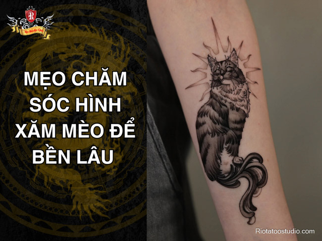 Mẹo chăm sóc hình xăm mèo để bền lâu 