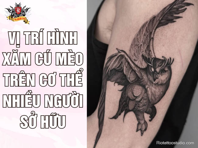 Hình xăm cú mèo ở cổ (trí tuệ), lưng (tự do), ngực nữ (quyến rũ, bí ẩn). Mỗi vị trí mang ý nghĩa riêng.