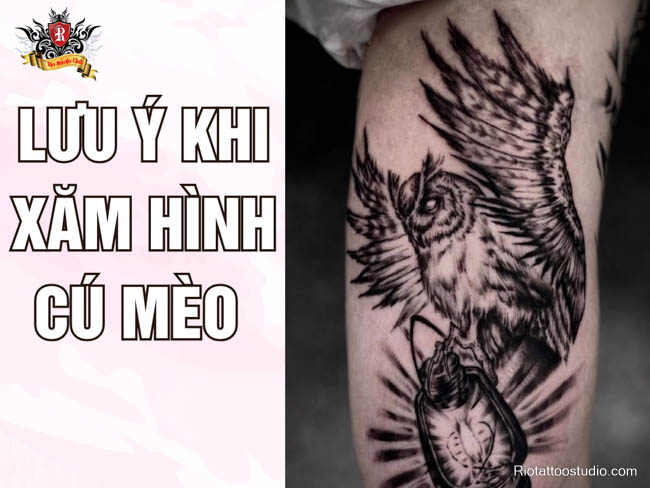 hình xăm cú mèo: Tìm hiểu ý nghĩa, chọn vị trí, phong cách, thợ xăm uy tín, chăm sóc đúng cách, cân nhắc phong thủy