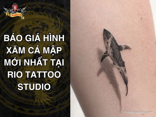 Báo giá hình xăm cá mập mới nhất tại Rio Tattoo Studio 