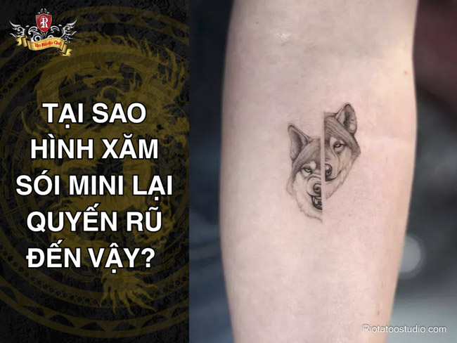 Tại sao hình xăm sói mini lại quyến rũ đến vậy? 