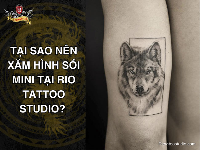 Tại sao nên xăm hình sói mini tại Rio Tattoo Studio? 