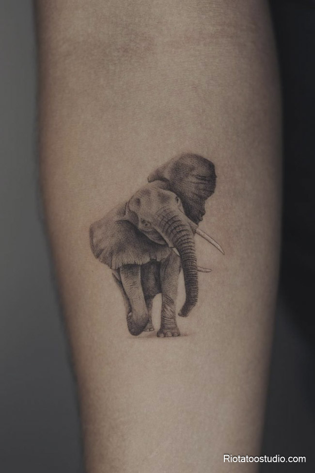 Hình xăm con voi mini tinh tế, ý nghĩa cho cả nam và nữ tại Rio Tattoo Studio