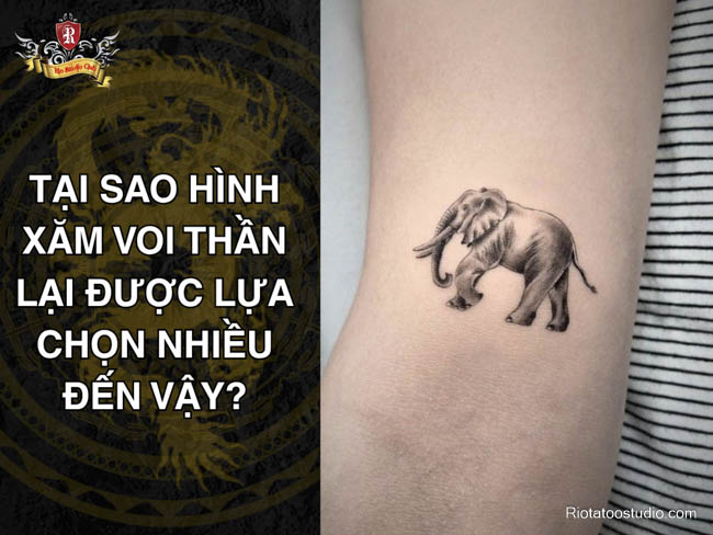 Tại sao hình xăm voi thần lại được lựa chọn nhiều đến vậy?