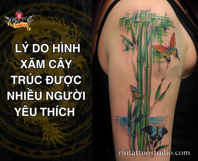 Lý do hình xăm cây trúc được nhiều người yêu thích
