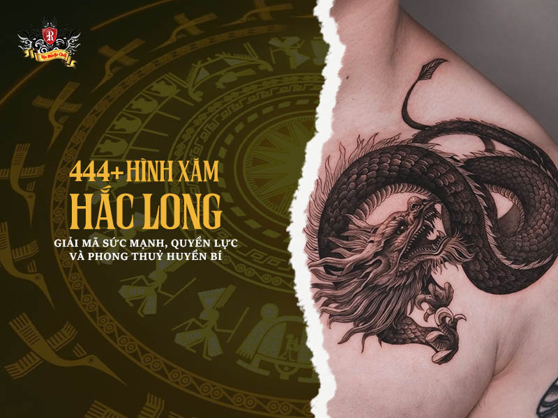 444+ hình xăm Hắc Long đẹp nhất – biểu tượng của sức mạnh, quyền uy và phong thủy huyền bí.