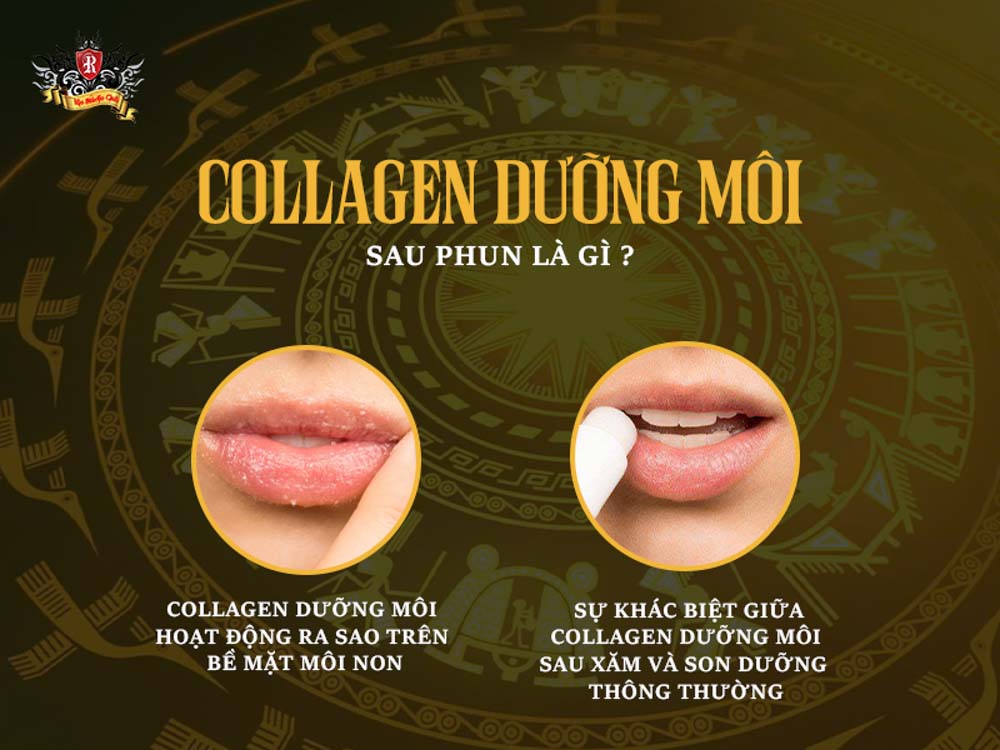 collagen dưỡng môi sau xăm giúp môi mềm mịn và lên màu chuẩn