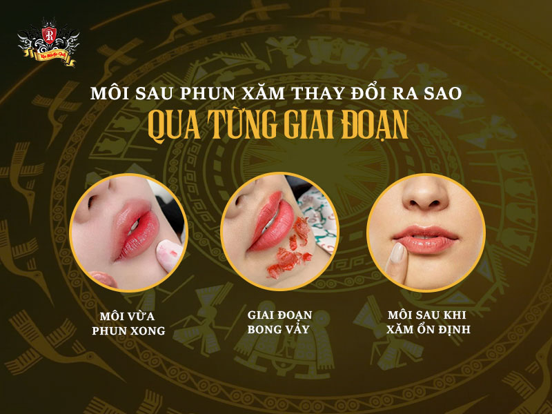 Môi sau phun xăm thay đổi ra sao qua từng giai đoạn – Dưỡng môi sau phun tại Rio Tattoo Studio