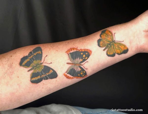 Three detailed butterflies in dark blue orange yellow tones on forearm, artistic butterfly tattoo