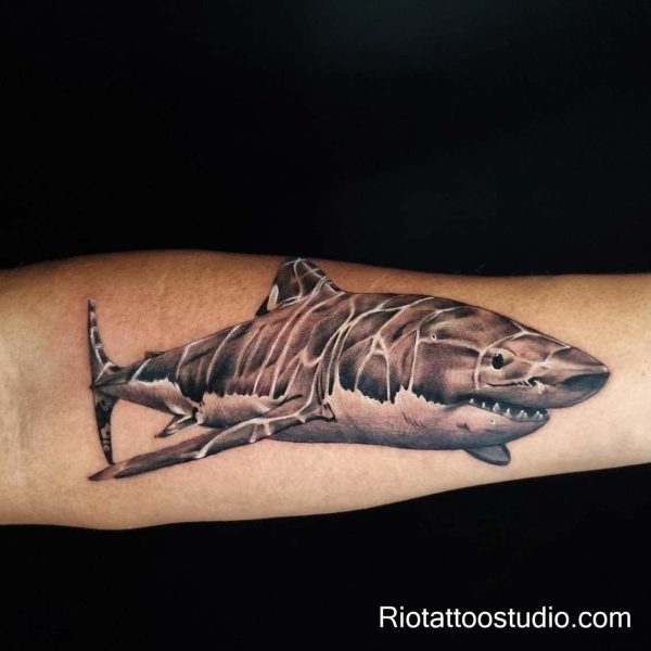 Realistic great white shark tattoo with cracked texture on arm, powerful shark tattoo