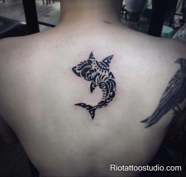 Polynesian tribal shark tattoo with geometric patterns on shoulder, bold shark tattoo