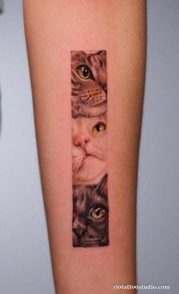 Realistic cat tattoo three cats vertical forearm black grey, detailed cat tattoo