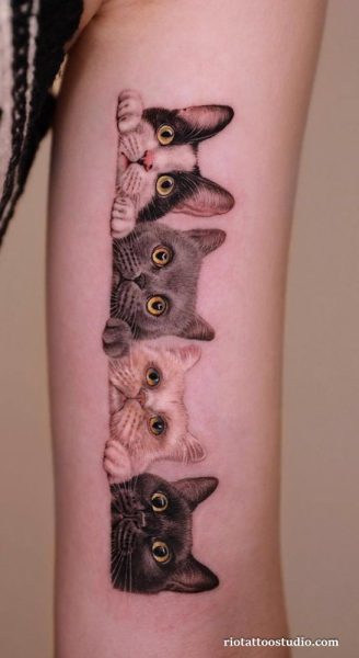Realistic cat tattoo four cats peeking vertical forearm black grey, cute cat tattoo