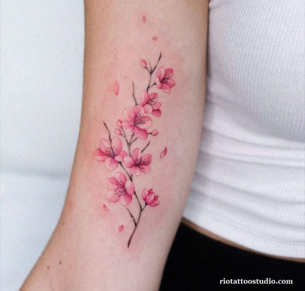 150+ Best Cherry Blossom Tattoo Ideas: Elegant Ink for 2026 1 - Rio Tattoo Studio