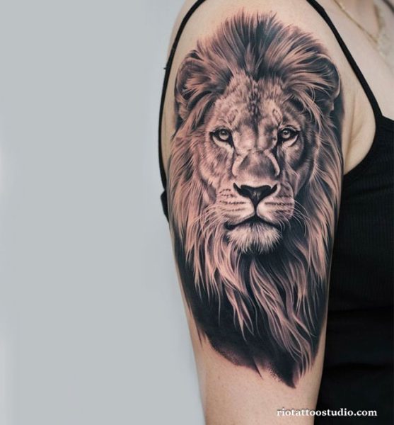 Lion Tattoo: The Ultimate Guide to the Beast Ink in 2026 2 - Rio Tattoo Studio