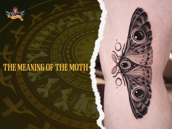 Realistic moth tattoo with large eye spots on side torso, detailed moth tattoo ideas