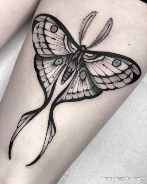 100+ Best Moth Tattoo Ideas: Symbols of Transformation 2 - Rio Tattoo Studio