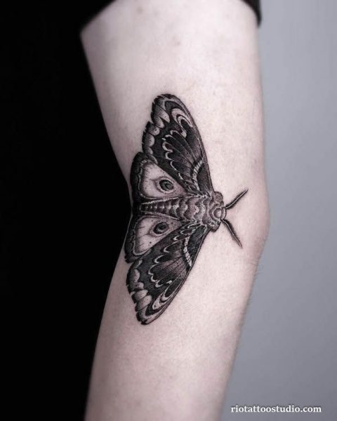 100+ Best Moth Tattoo Ideas: Symbols of Transformation 3 - Rio Tattoo Studio