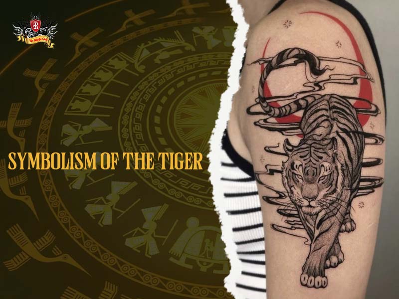 Powerful and artistic Tiger tattoo with fluid movement on the upper arm