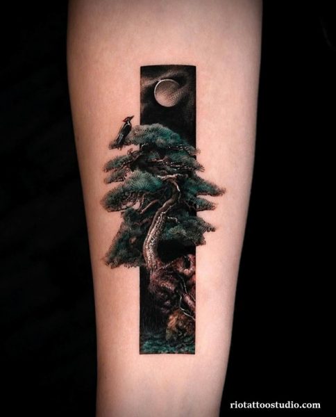 Japanese bonsai tree tattoo with woodpecker and moon in vertical frame on arm, fine art tree tattoo