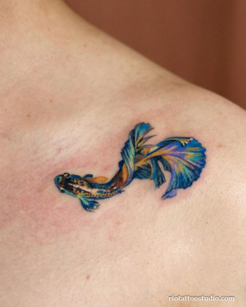 Vibrant multicolored betta fish tattoo on shoulder, colorful fish tattoo ideas