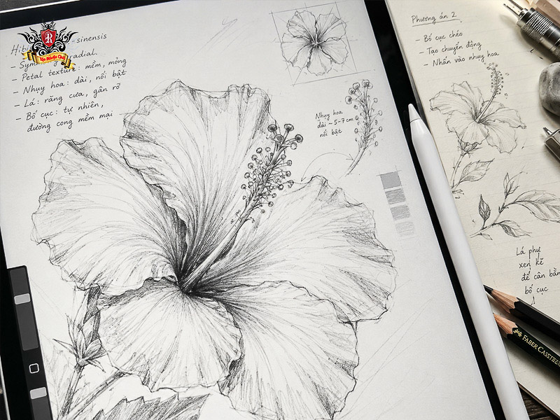 Professional custom sketching of a unique hibiscus tattoo.